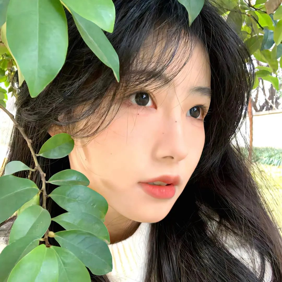 少年歌行之风花雪月